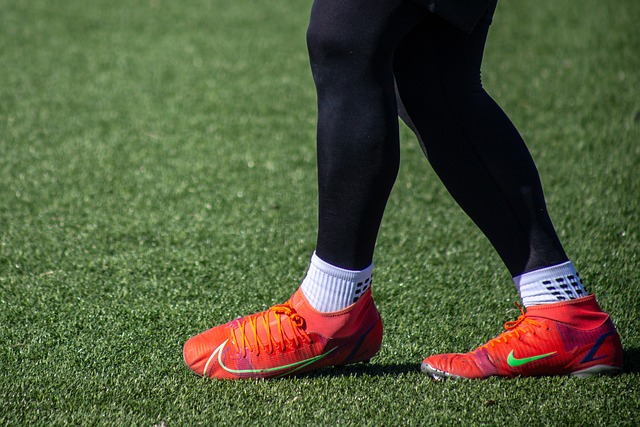 智慧的化身 智慧的化身