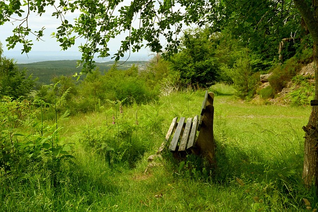 上海久事 上海久事