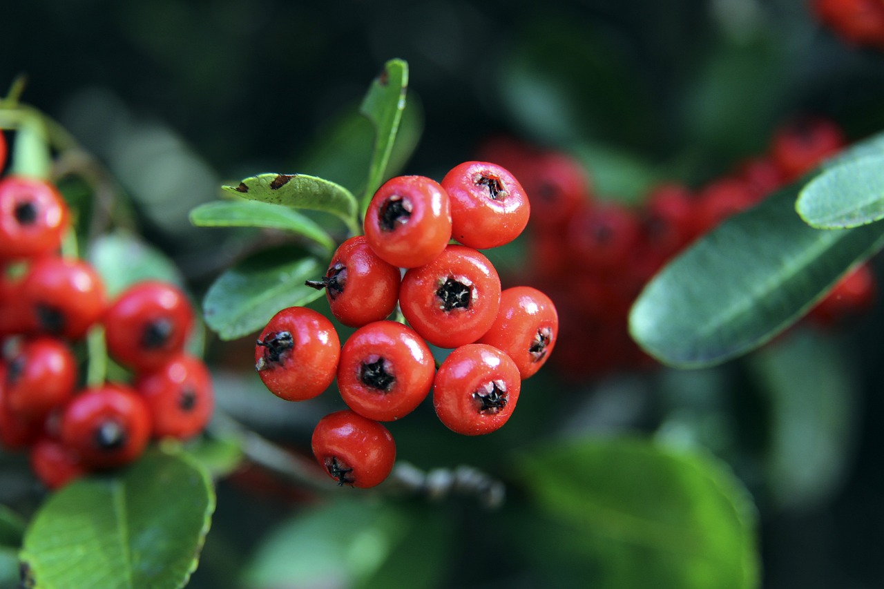 防守阵线和 防守阵线和